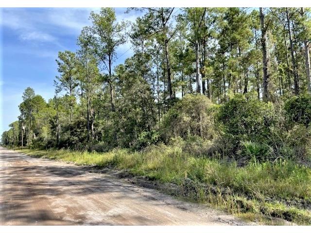 TBD NE 65 Avenue Citra FL 32113 OM628979 image1