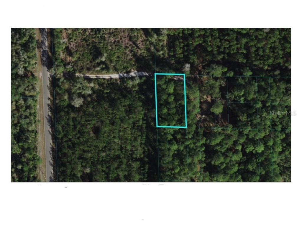 TBD NE 65th Avenue Citra FL 32113 OM665521 image1