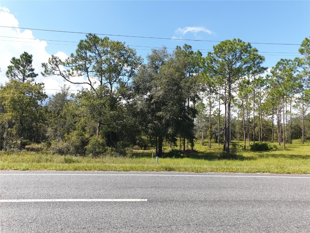 TBD NE 65th Lane Bronson FL 32621 A4582439 image1