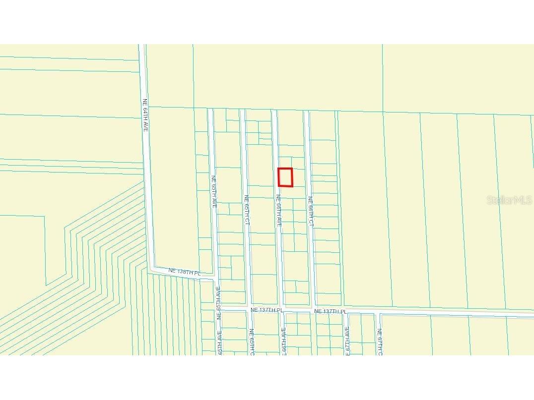 TBD NE 66th Avenue Citra FL 32113 OM644708 image1