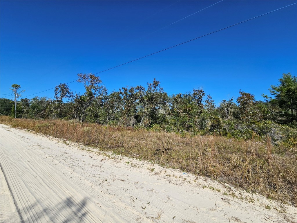 TBD NE 66th Lane Williston FL 32696 OM712374 image1