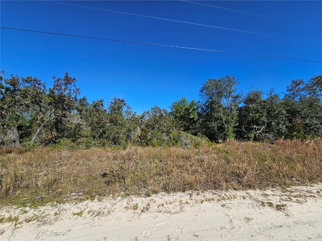 TBD NE 66th Lane Williston FL 32696 OM712374 image3