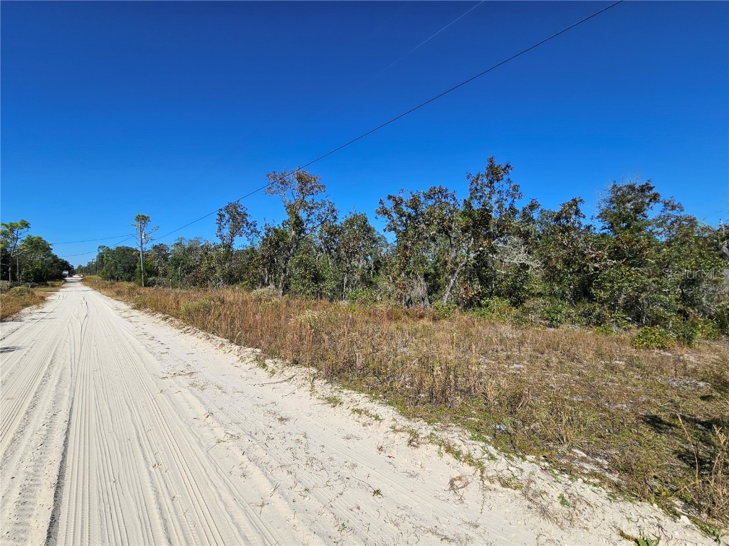TBD NE 66th Lane Williston FL 32696 OM712374 image4