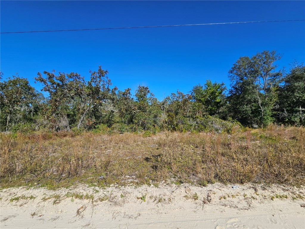 TBD NE 66th Lane Williston FL 32696 OM712374 image5