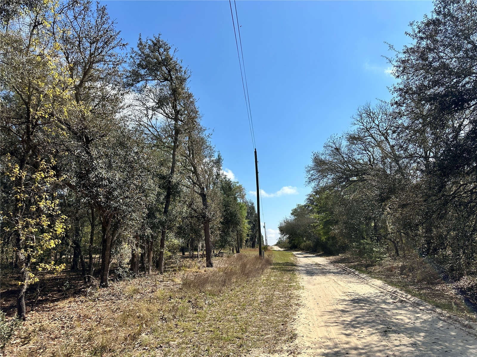 TBD NE 68th Place Bronson FL 32621 OM714955 image2