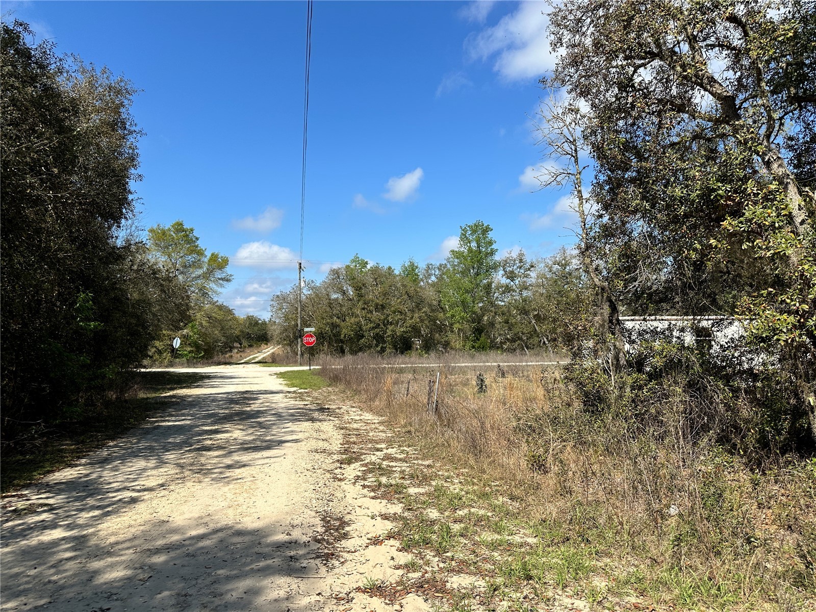 TBD NE 68th Place Bronson FL 32621 OM714955 image3