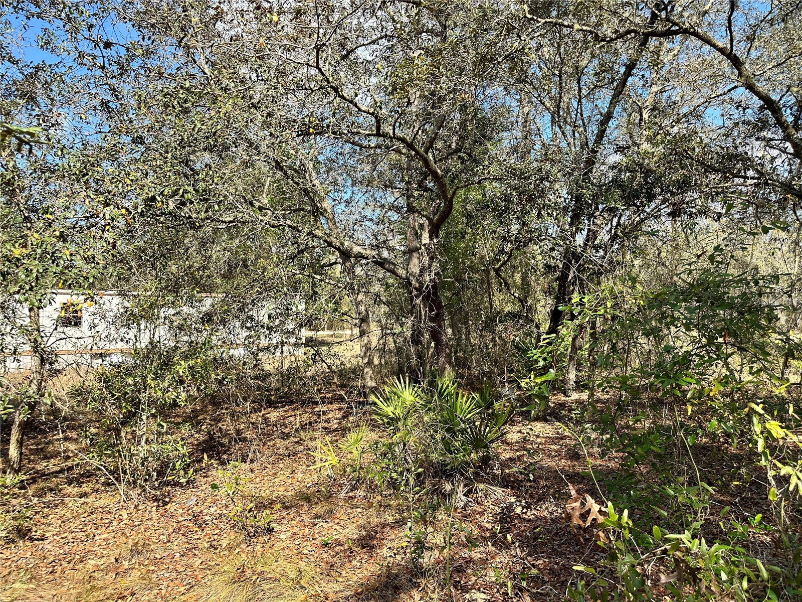 TBD NE 68th Place Bronson FL 32621 OM714955 image8