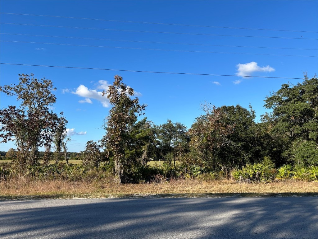 TBD NE 69th Lane Williston FL 32696 OM712854 image1