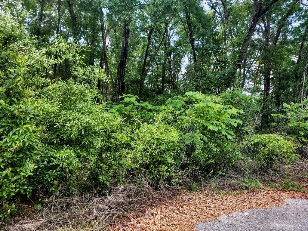 TBD NE 6th Circle Williston FL 32696 OM704532 image1