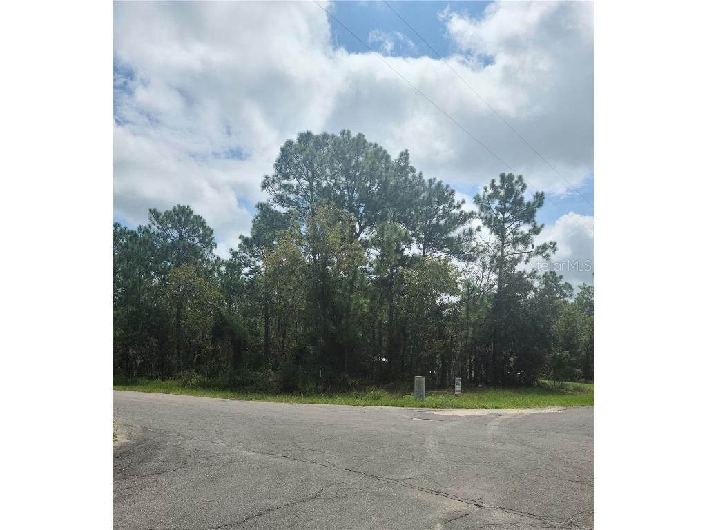 TBD Ne 7 Pl & 150th Ave Lot 30 Williston FL 32696 NS1082602 image1