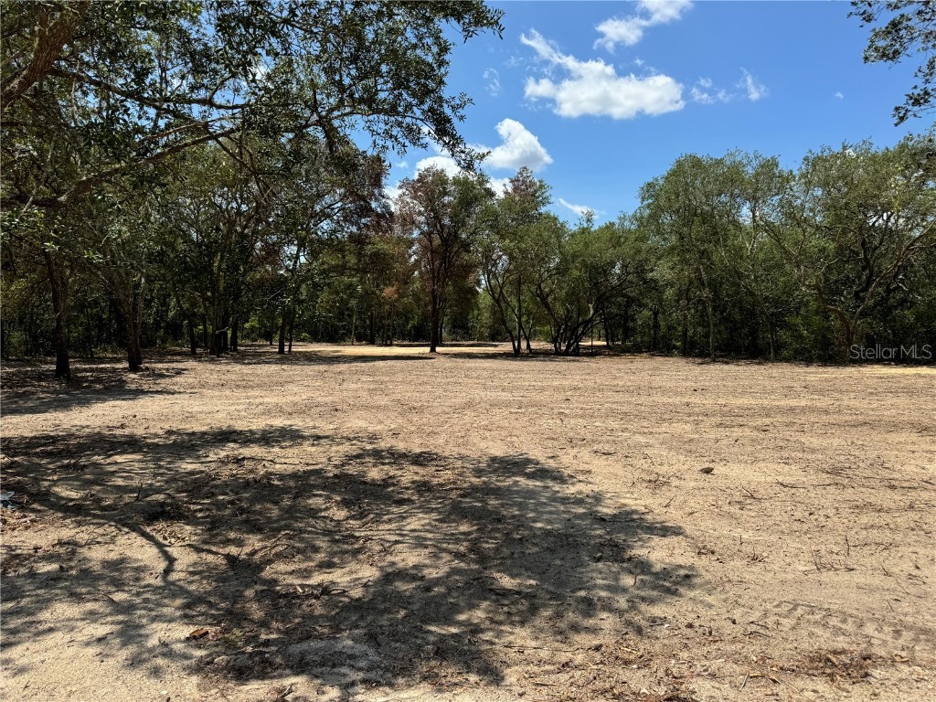 TBD NE 71st Street Bronson FL 32621 GC531550 image1