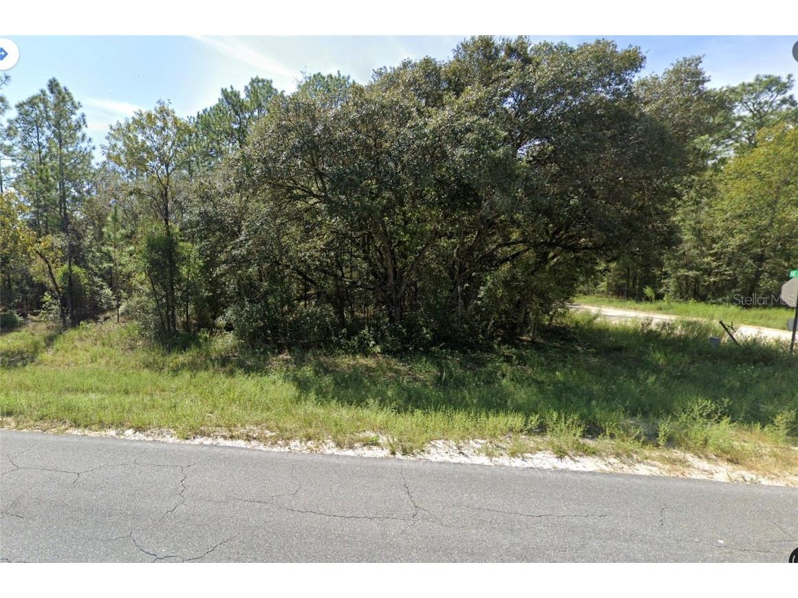 TBD NE 75th Street Bronson FL 32621 OM668162 image1