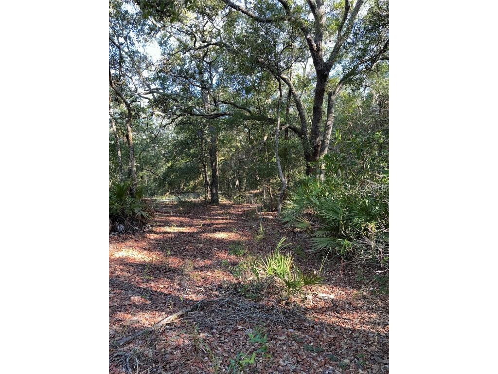 TBD NE 75th Street Bronson FL 32621 OM682390 image1