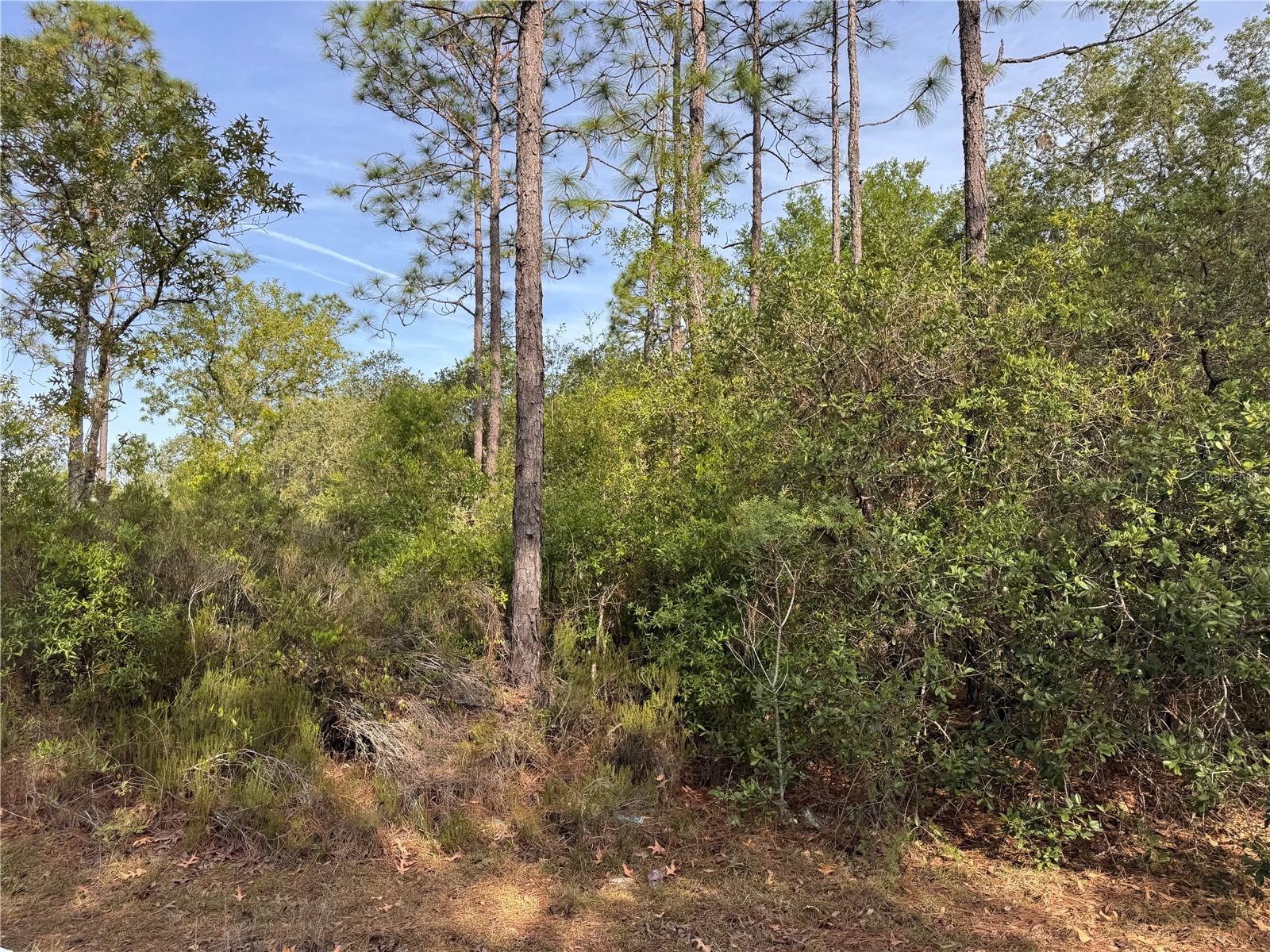 TBD NE 76th Bronson FL 32621 GC541673 image1