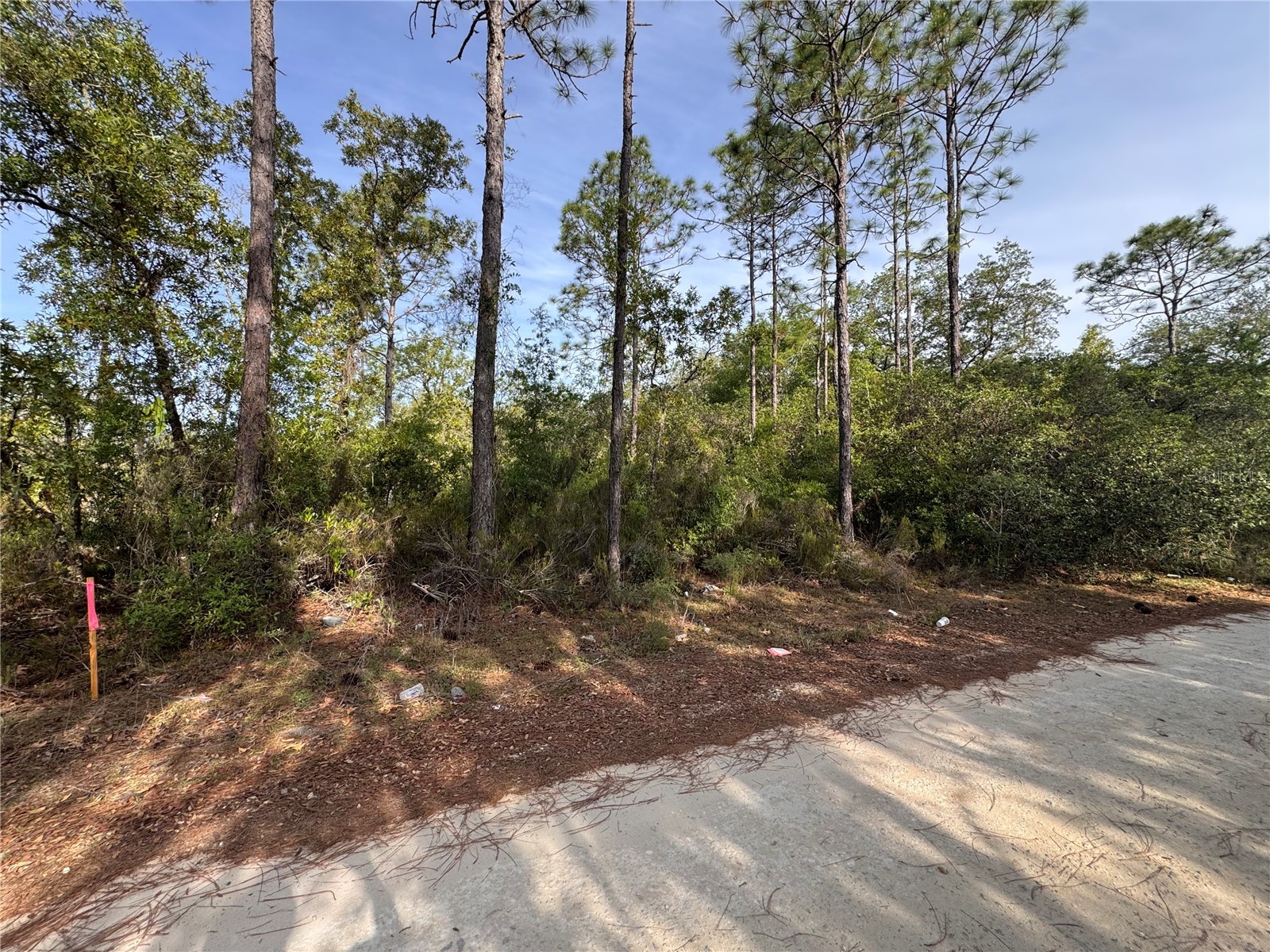 TBD NE 76th Bronson FL 32621 GC541673 image2