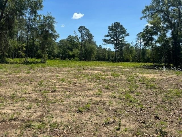TBD NE 78th Lane Bronson FL 32621 GC527732 image1