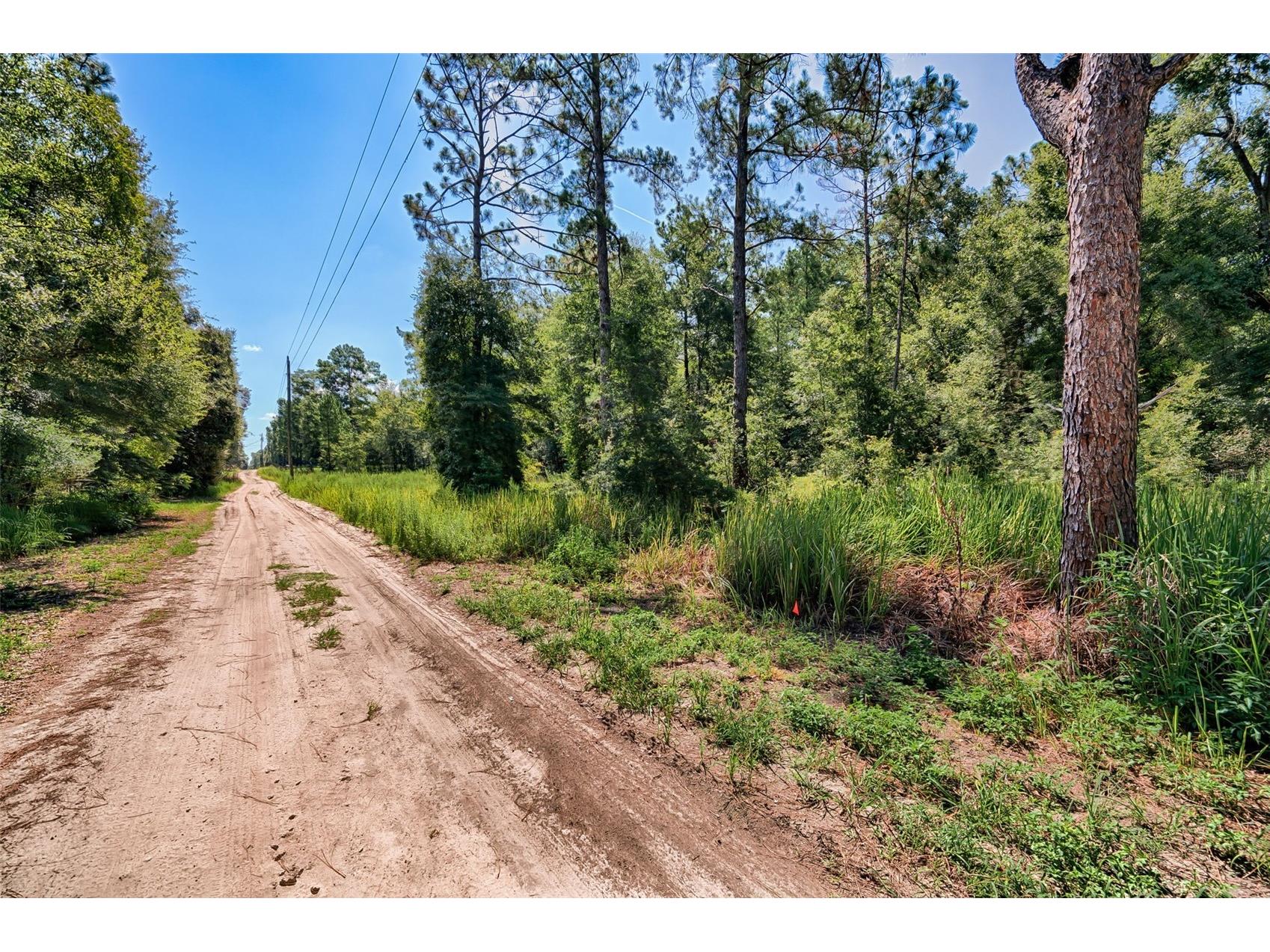 TBD NE 82nd Place Bronson FL 32621 GC541219 image2