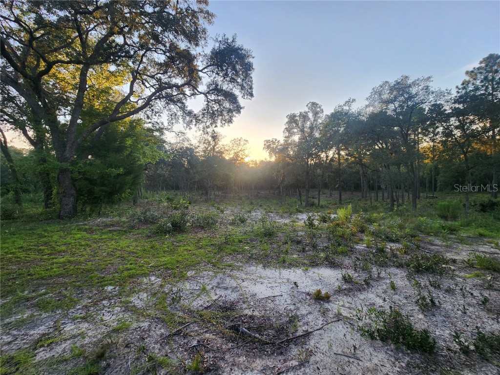 TBD NE 82nd Place Bronson FL 32621 OM706538 image14