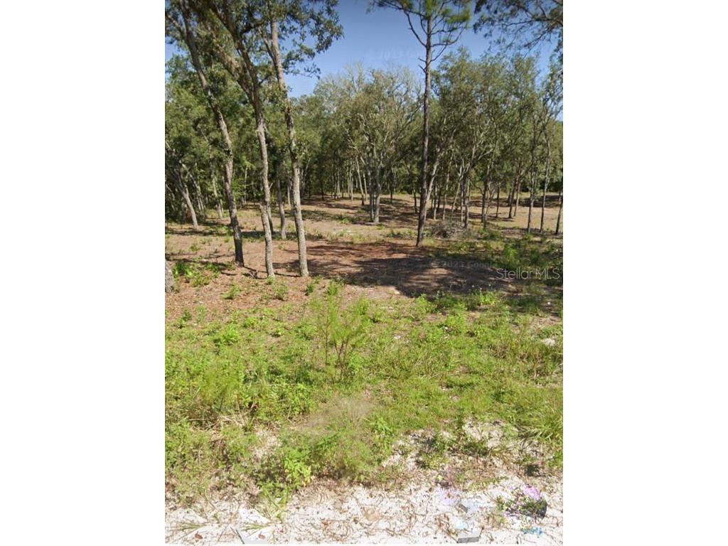 TBD NE 82nd Place Bronson FL 32621 OM706538 image16