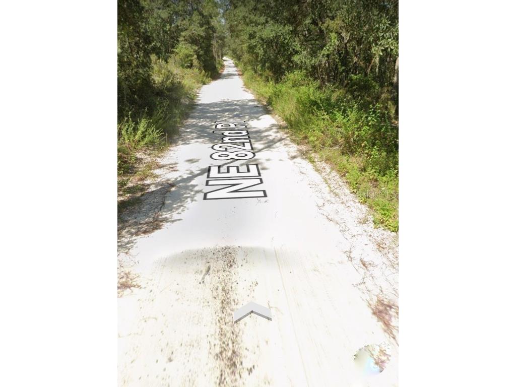 TBD NE 82nd Place Bronson FL 32621 OM706538 image2
