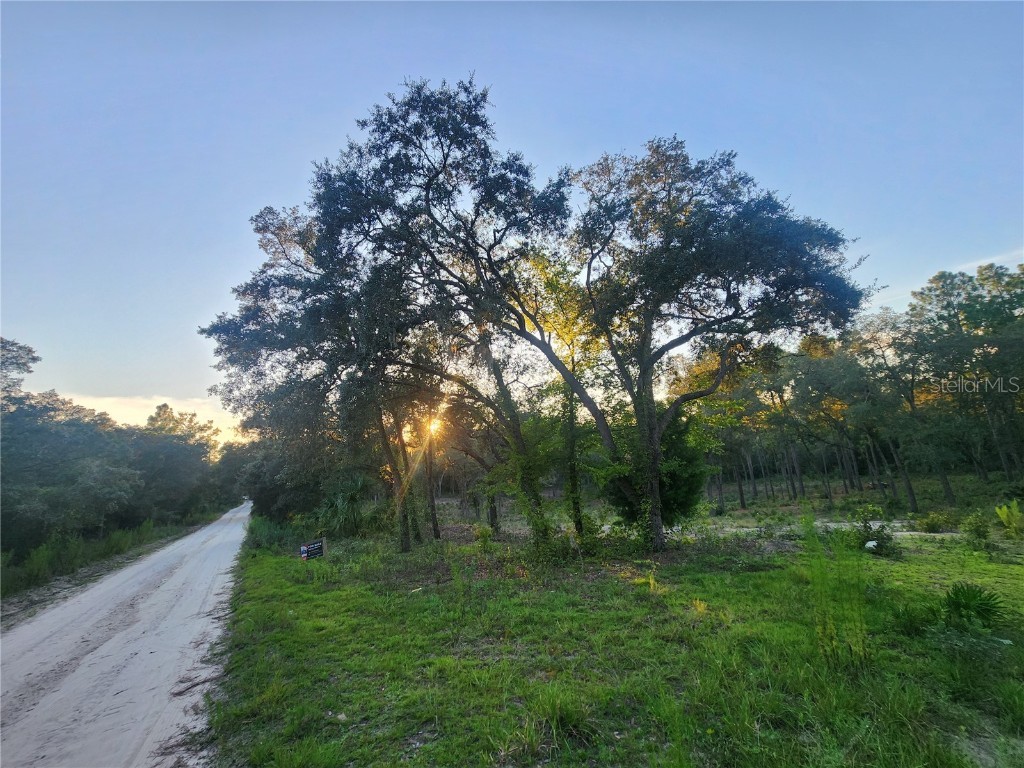 TBD NE 82nd Place Bronson FL 32621 OM706538 image5