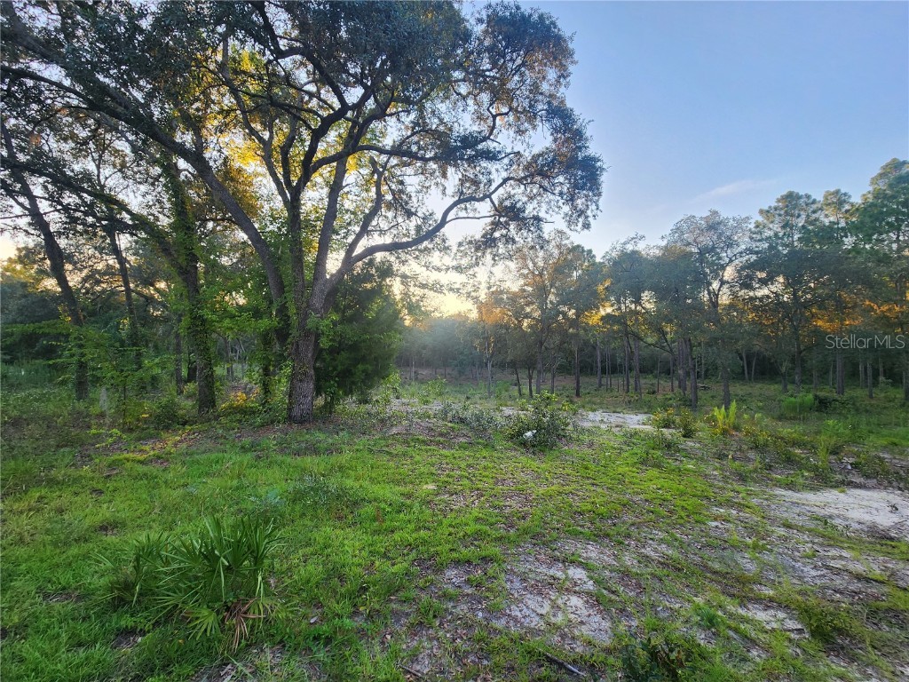 TBD NE 82nd Place Bronson FL 32621 OM706538 image6