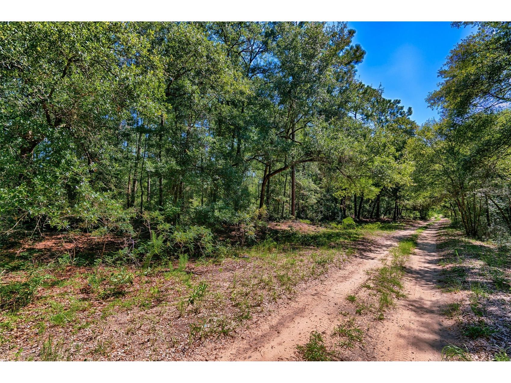 TBD NE 83rd Lane Bronson FL 32621 GC541222 image2