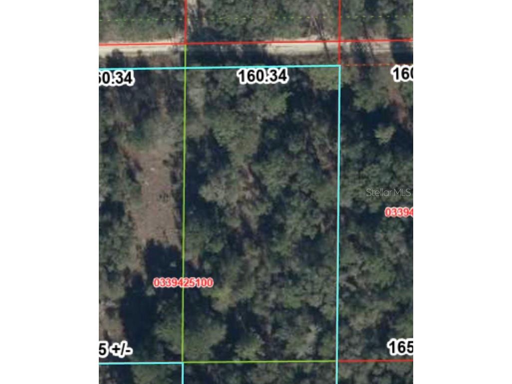 TBD NE 83rd Lane Bronson FL 32621 GC541222 image3