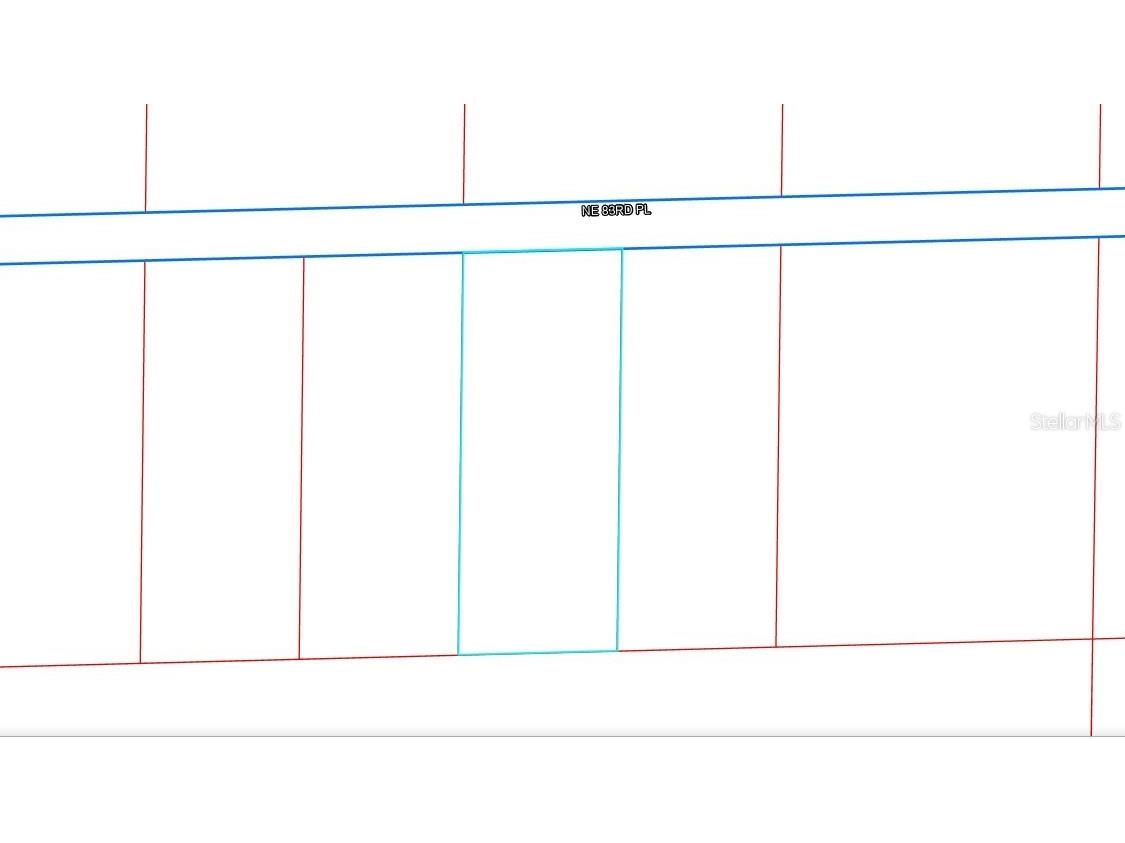 TBD NE 83rd Place Bronson FL 32621 A4584143 image1