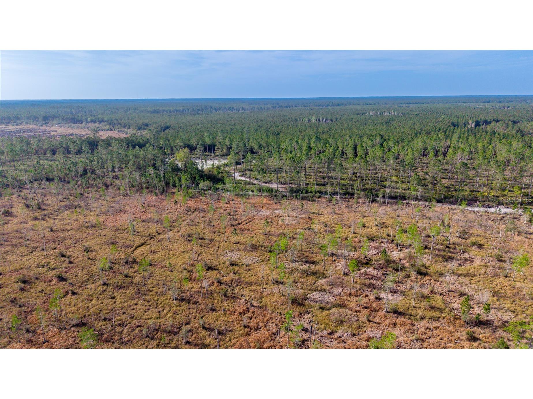 TBD NE 83rd Way Gainesville FL 32609 GC539155 image11