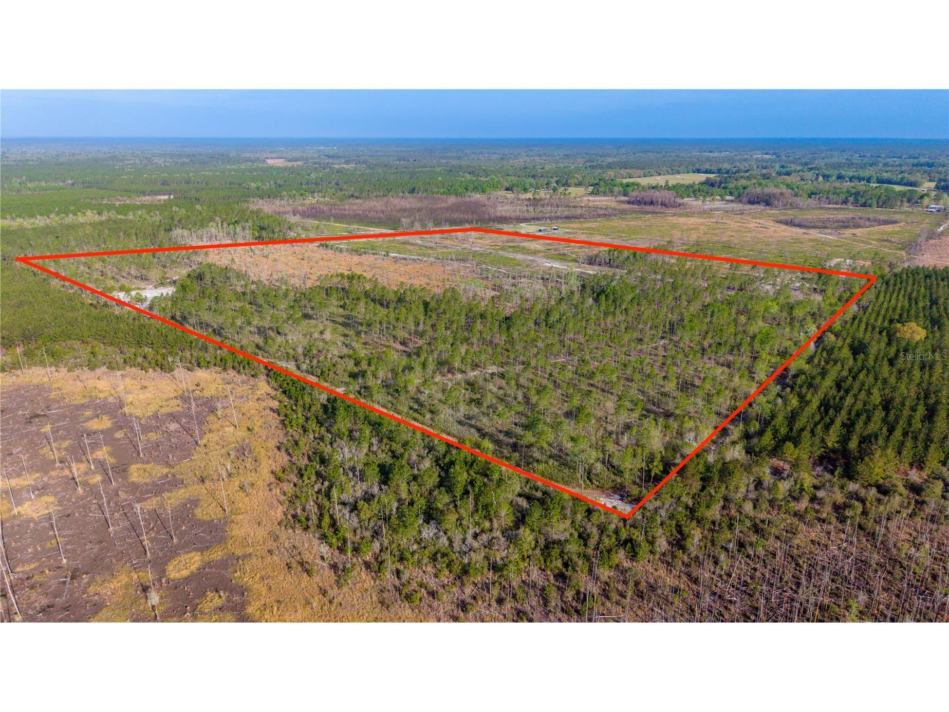 TBD NE 83rd Way Gainesville FL 32609 GC539155 image2