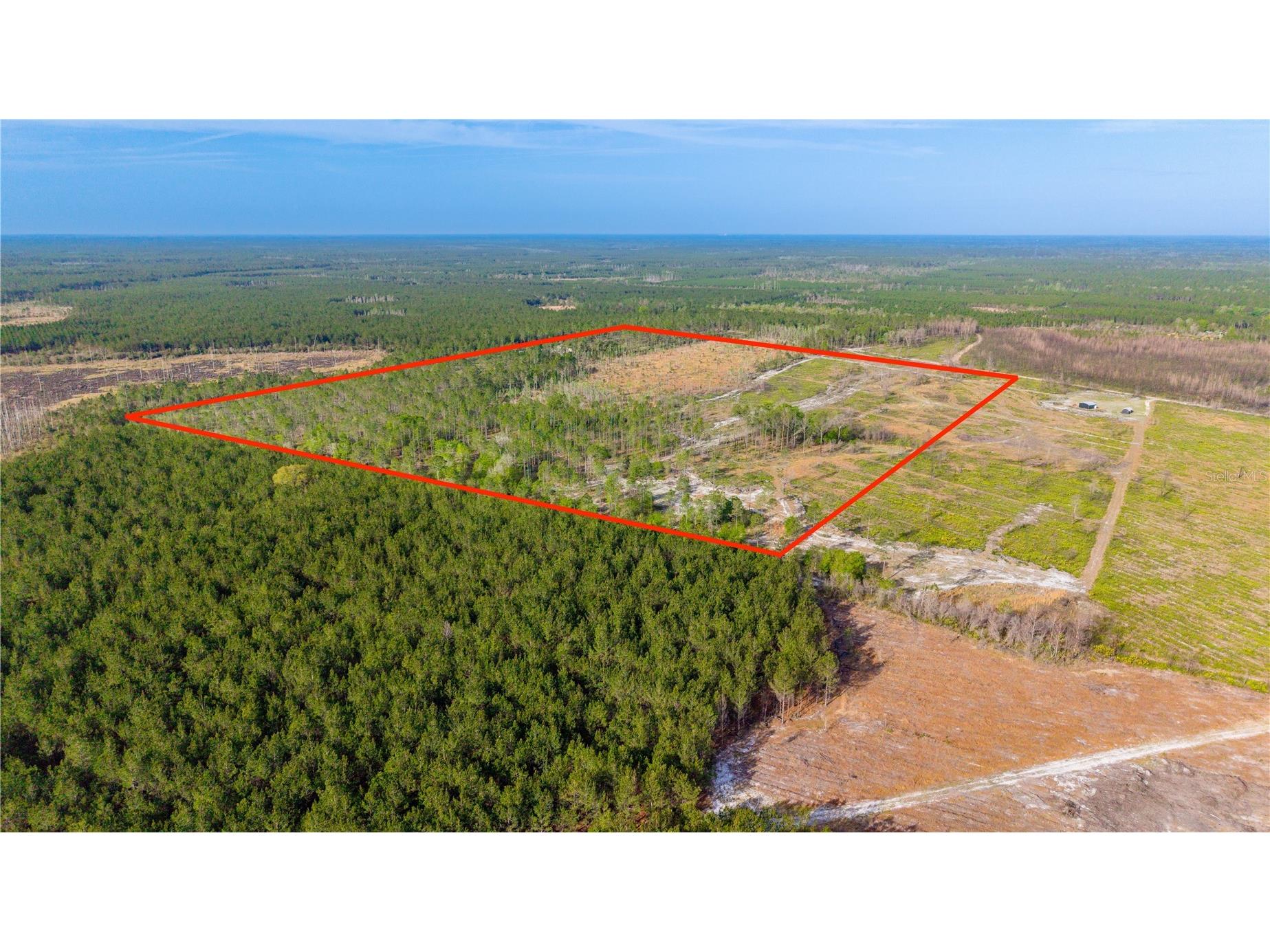 TBD NE 83rd Way Gainesville FL 32609 GC539155 image3