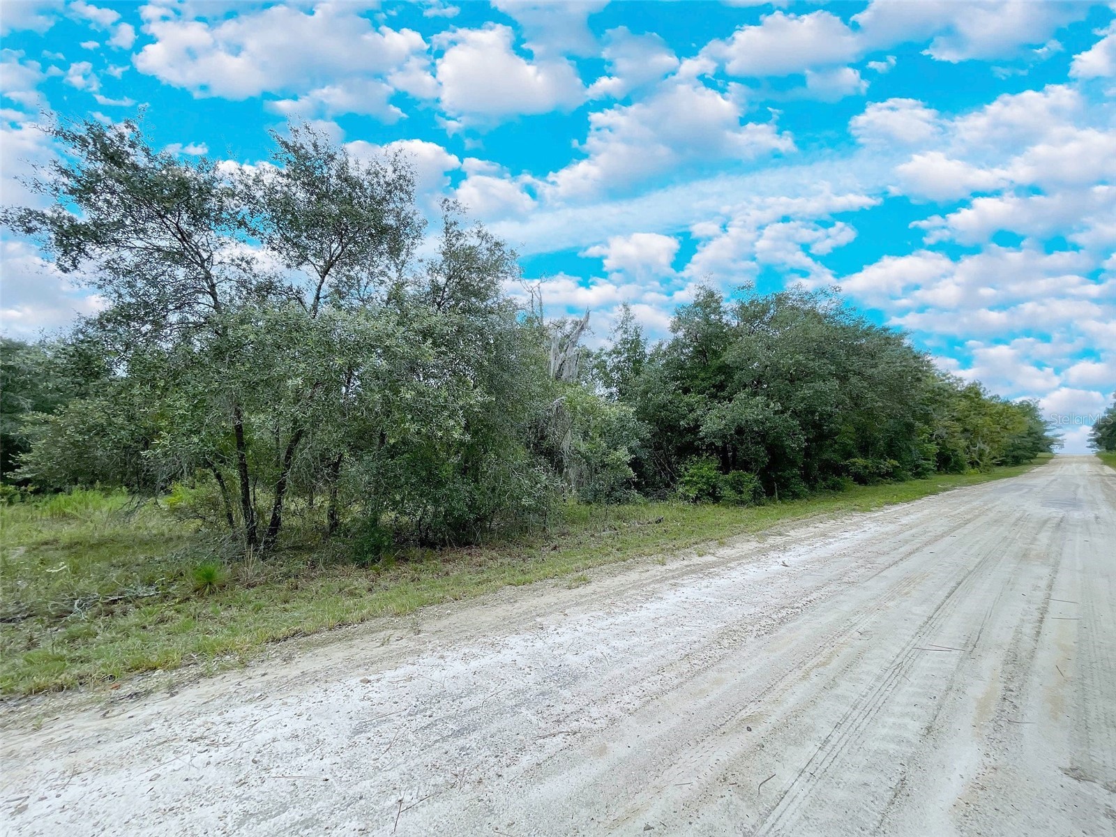 TBD NE 85th Street Bronson FL 32621 OM720467 image1