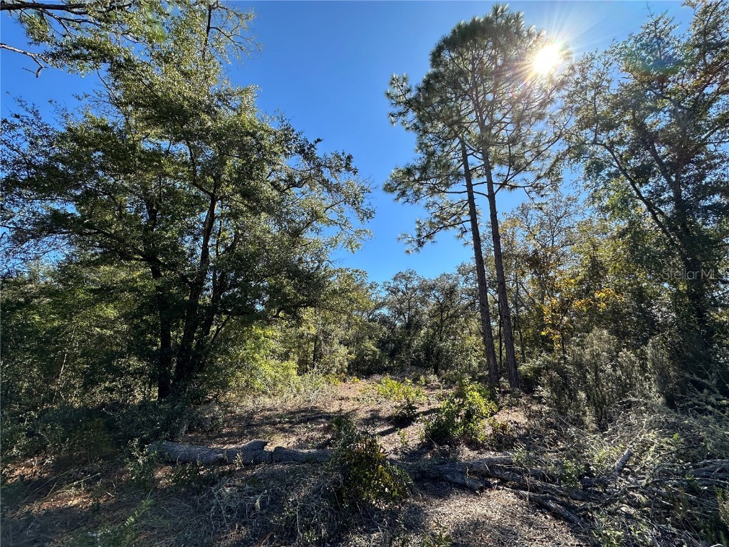 TBD NE 86th Street Bronson FL 32621 OM708070 image1