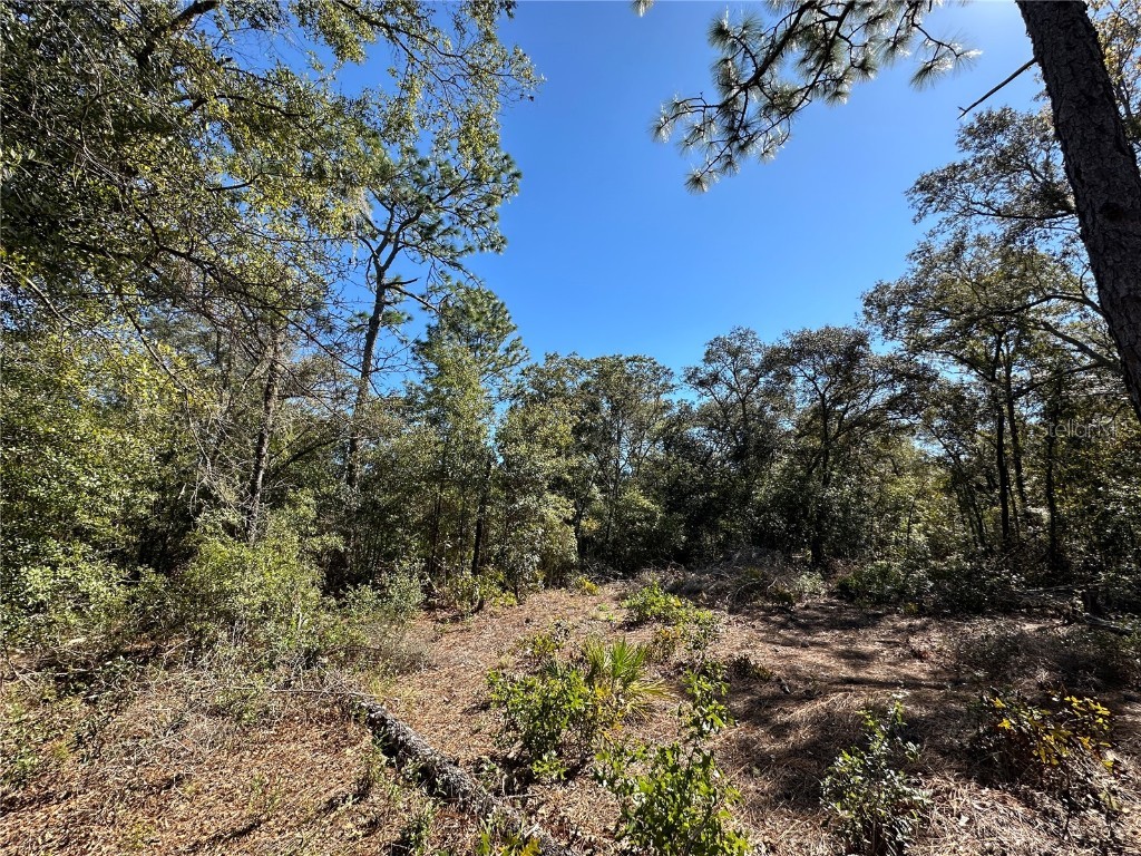 TBD NE 86th Street Bronson FL 32621 OM708070 image11