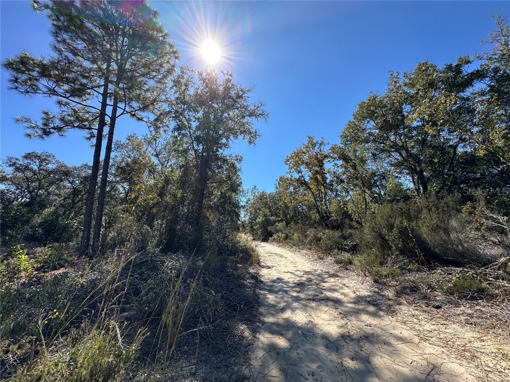 TBD NE 86th Street Bronson FL 32621 OM708070 image3