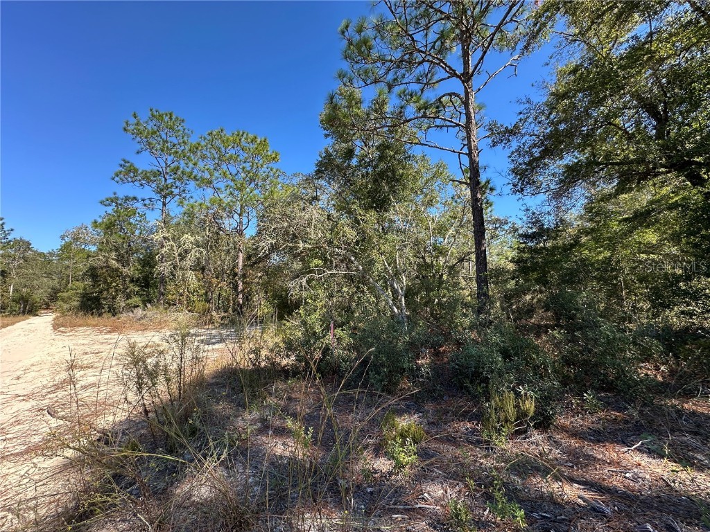 TBD NE 86th Street Bronson FL 32621 OM708070 image4