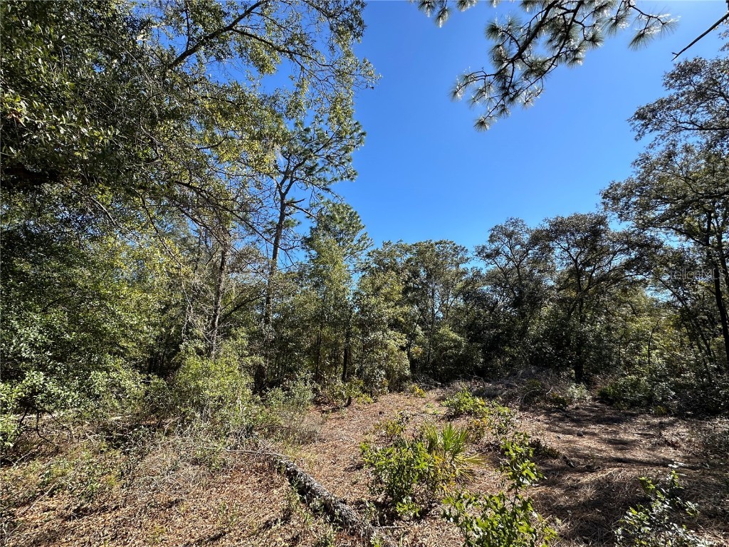 TBD NE 86th Street Bronson FL 32621 OM708070 image9