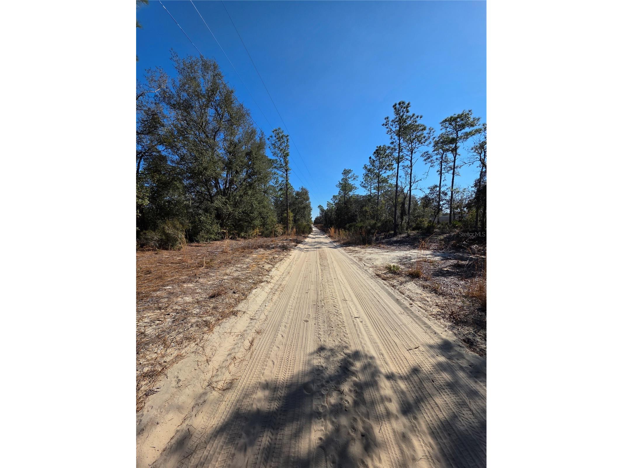 TBD NE 87th Place Bronson FL 32621 OM718905 image10