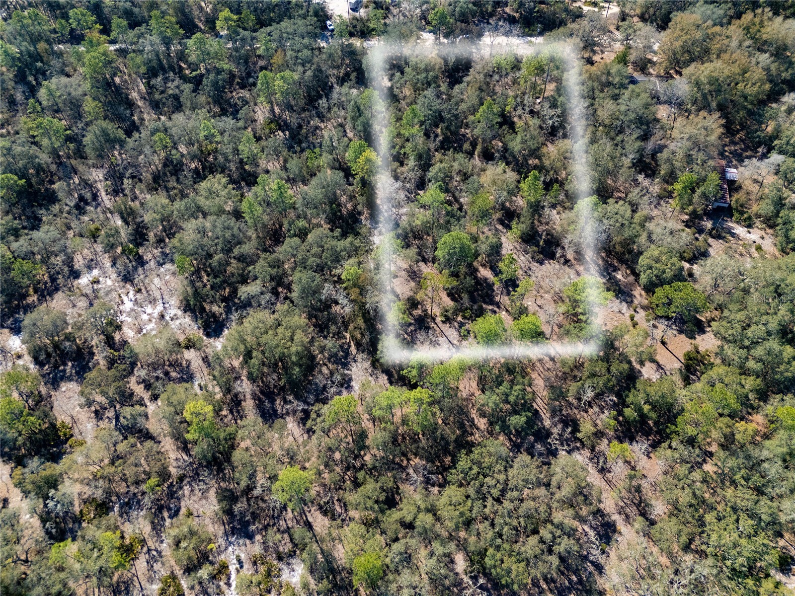 TBD NE 87th Place Bronson FL 32621 OM718905 image3