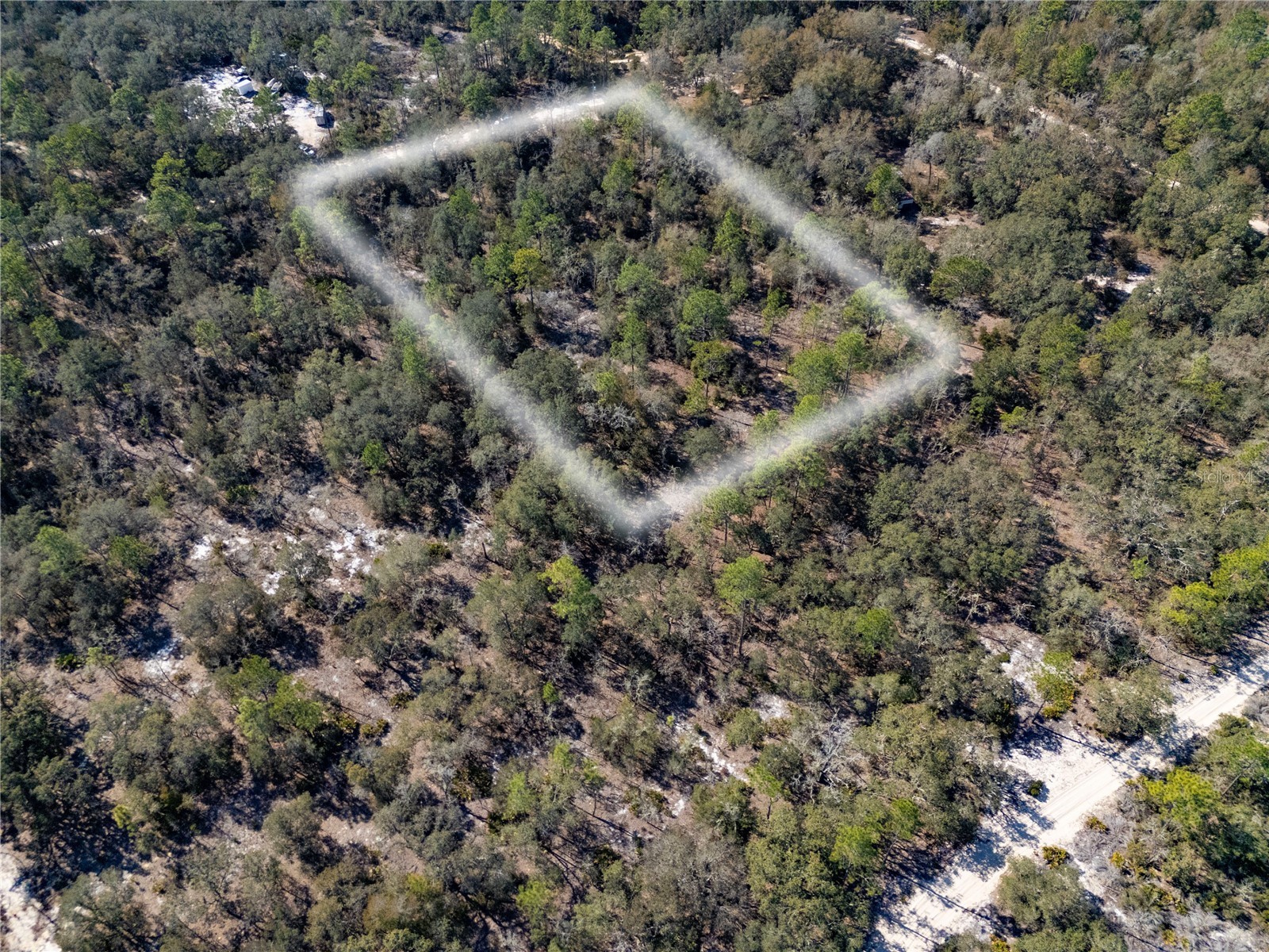 TBD NE 87th Place Bronson FL 32621 OM718905 image4