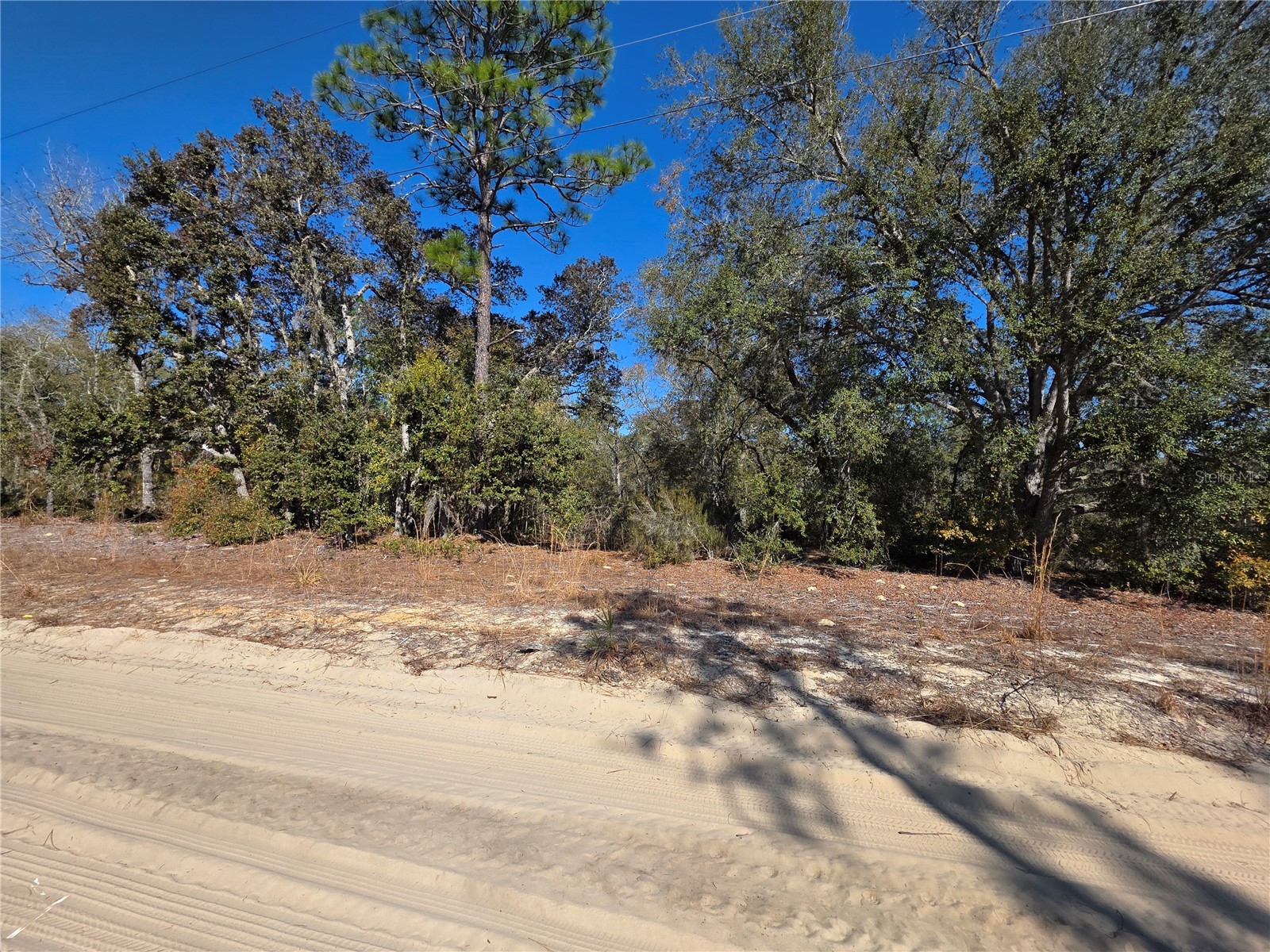 TBD NE 87th Place Bronson FL 32621 OM718905 image8