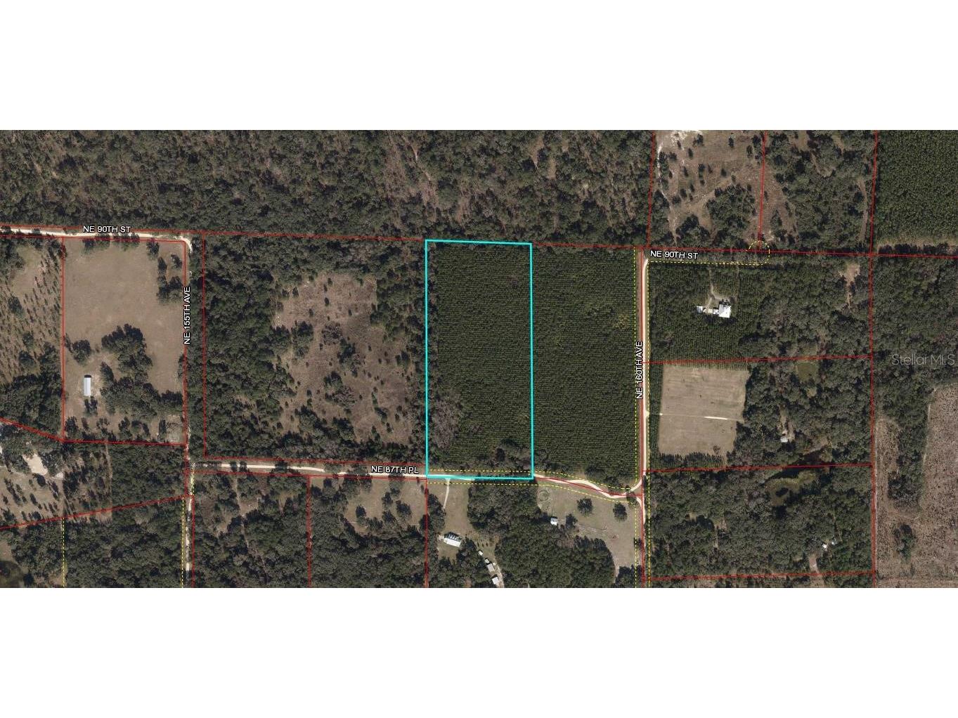 TBD NE 87th Place Williston FL 32696 OM635739 image1