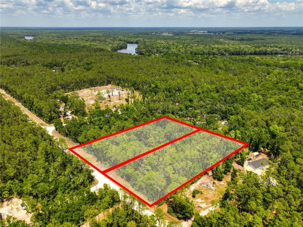TBD NE 899th Street Old Town FL 32680 OK225169 image1