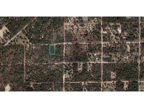 TBD NE 90th Street Bronson FL 32621 OM717915 image1