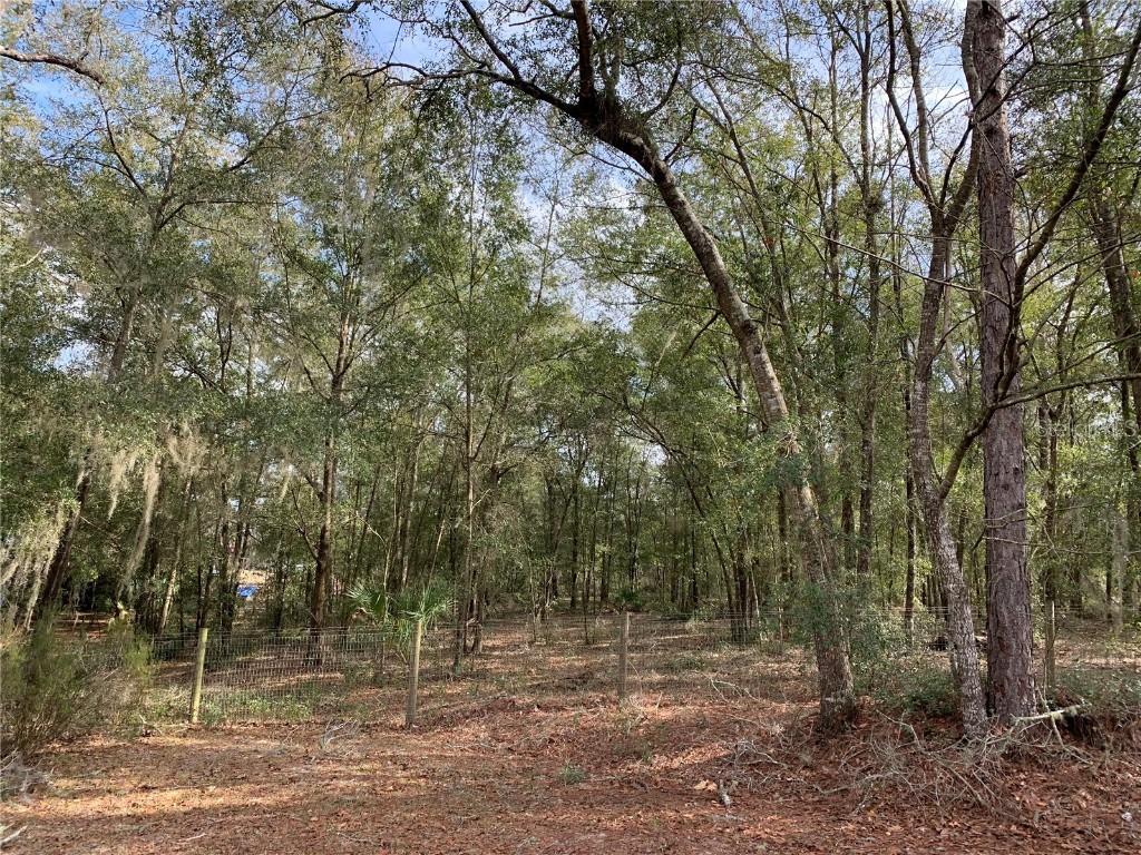 TBD NE 92nd Court Bronson FL 32621 OM650707 image1