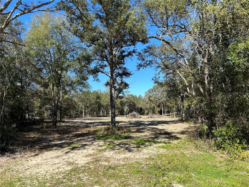 TBD NE 92nd Place Bronson FL 32621 OM672069 image1