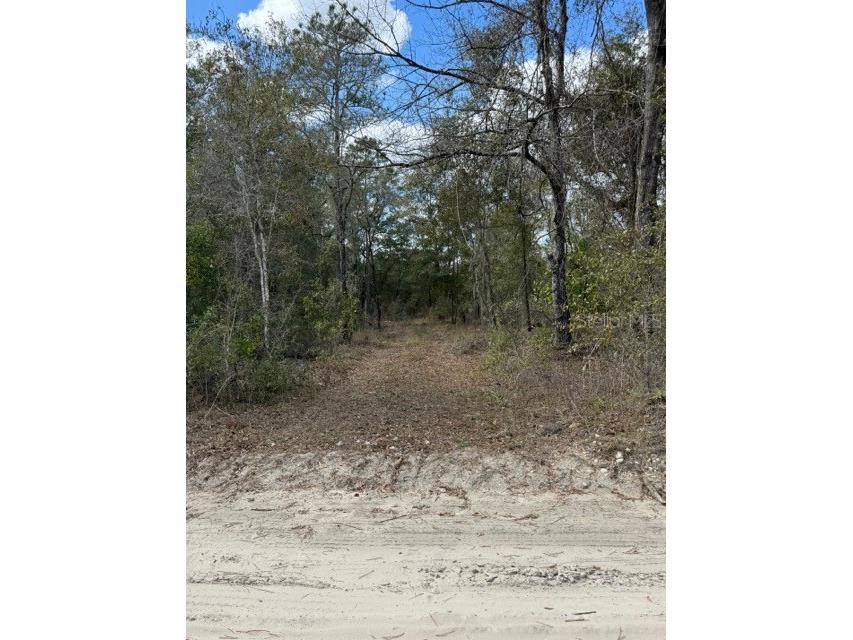 TBD NE 95 Avenue Bronson FL 32621 GC518950 image1