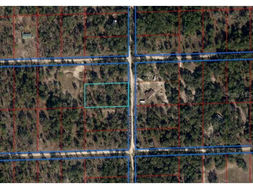 TBD NE 95th Avenue Bronson FL 32621 C7490460 image1