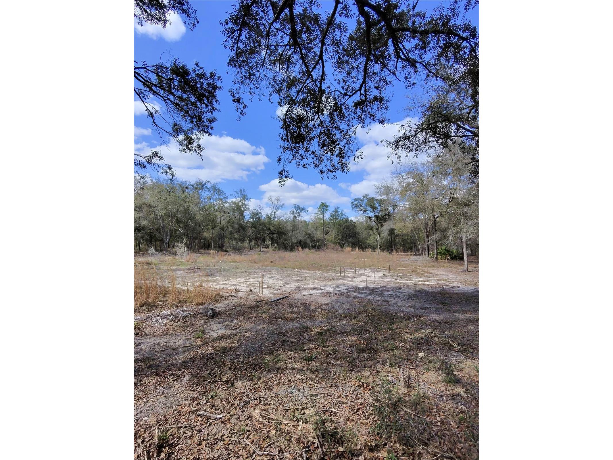 TBD NE 96th Street Archer FL 32618 OM720390 image1